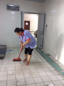 圖 上海專(zhuān)業(yè)工程開(kāi)荒保潔 日常保潔 地毯清洗 工廠保潔外包等服務(wù) 上海保潔清洗